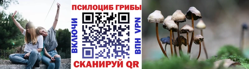 Галлюциногенные грибы ЛСД Набережные Челны