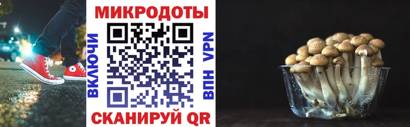 hydra как войти  Набережные Челны  Галлюциногенные грибы прущие грибы  купить  